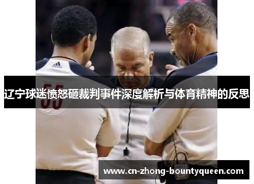 辽宁球迷愤怒砸裁判事件深度解析与体育精神的反思 辽宁球迷愤怒砸裁判事件深度解析与体育精神的反思