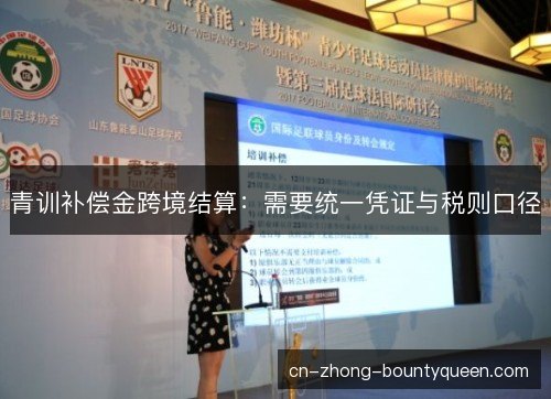 青训补偿金跨境结算:需要统一凭证与税则口径 青训补偿金跨境结算:需要统一凭证与税则口径